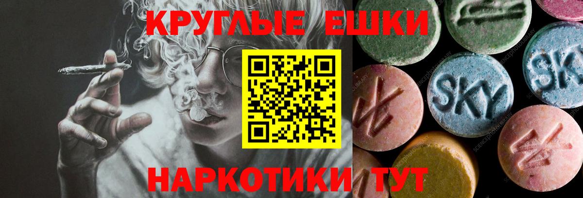 Ecstasy бентли Муравленко
