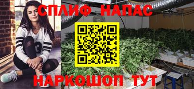 круглые Дубна
